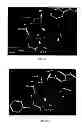Fig. 04 - Methods and compositions related to wrapping of dehydrons