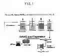 Fig. 02 - Metal scavenging polymers and uses thereof