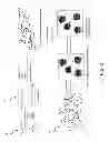 Fig. 04 - Method for Making Waterborne Polyurethane with a Reactive Functional Group and a Nanocomposite Made of the Same