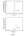 Fig. 02 - Peptide derivatives for biofunctionalization of silicon substrates and their applications