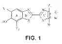 Fig. 02 - Fluorescent dyes and uses thereof