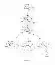 Fig. 02 - Cellulose interpolymers and method of oxidation