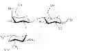 Fig. 07 - Method for the synthesis of a trisaccharide