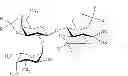 Fig. 08 - Method for the synthesis of a trisaccharide