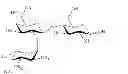 Fig. 22 - Method for the synthesis of a trisaccharide