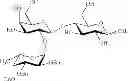 Fig. 24 - Method for the synthesis of a trisaccharide