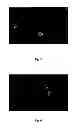 Fig. 03 - Luminescent compounds, method of preparation of luminescent compounds and applications thereof