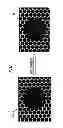 Fig. 02 - Controlled assembly of charged nanoparticles using functionalized graphene nanomesh