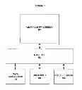 Fig. 02 - WEARABLE ELECTRONIC IMAGE ACQUISITION AND ENHANCEMENT SYSTEM AND METHOD FOR IMAGE ACQUISITION AND VISUAL ENHANCEMENT