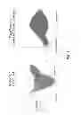 Fig. 07 - Lens modeling