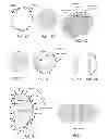 Fig. 02 - Methods and apparatus for simulation of fluid motion using procedural shape growth