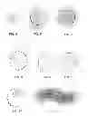 Fig. 03 - Methods and apparatus for simulation of fluid motion using procedural shape growth