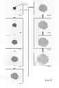 Fig. 06 - Methods and apparatus for simulation of fluid motion using procedural shape growth
