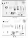 Fig. 09 - Methods and apparatus for simulation of fluid motion using procedural shape growth
