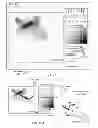 Fig. 10 - Methods and apparatus for simulation of fluid motion using procedural shape growth