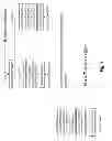 Fig. 05 - Text to speech synthesis for texts with foreign language inclusions