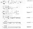 Fig. 13 - GENERIC FRAMEWORK FOR LARGE-MARGIN MCE TRAINING IN SPEECH RECOGNITION