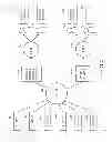 Fig. 05 - SYSTEM AND METHOD FOR REASSIGNING A WORK STUDY
