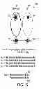 Fig. 06 - SMART TOLL NETWORK FOR IMPROVING PERFORMANCE OF VEHICLE IDENTIFICATION SYSTEMS