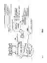 Fig. 05 - INFORMATION SERVICE FOR FACTS EXTRACTED FROM DIFFERING SOURCES ON A WIDE AREA NETWORK WITH TIMELINE DISPLAY