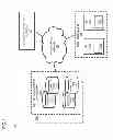 Fig. 02 - Method and apparatus for providing information consistency in distributed computing environments