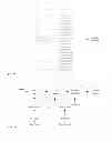 Fig. 10 - Graphical Surface Rendering Data Visualization Tools and Primitives for Tabular Data and Spreadsheets