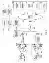 Fig. 02 - Automated device provisioning and activation