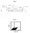 Fig. 02 - High affinity leptins and leptin antagonists