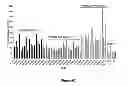 Fig. 13 - MANIPULATION OF GLUTAMINE SYNTHETASES (GS) TO IMPROVE NITROGEN USE EFFICIENCY AND GRAIN YIELD IN HIGHER PLANTS