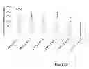 Fig. 16 - MANIPULATION OF GLUTAMINE SYNTHETASES (GS) TO IMPROVE NITROGEN USE EFFICIENCY AND GRAIN YIELD IN HIGHER PLANTS