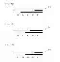 Fig. 09 - Method of plant genome design, method of creating new cultivar and new cultivar