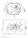 Fig. 04 - MOTION GREETING CARDS