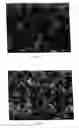 Fig. 05 - Method and process for providing a controlled batch of micrometer-sized or nanometer-sized coal material
