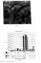 Fig. 06 - Method and process for providing a controlled batch of micrometer-sized or nanometer-sized coal material