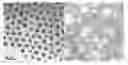 Fig. 01 - Method for the Mass Production of Silver Nanoparticles Having a Uniform Size