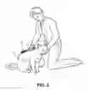Fig. 04 - Pet Grooming and Pest Terminating Comb