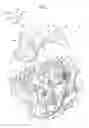 Fig. 02 - Camshaft support structure for internal combustion engine