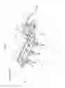 Fig. 02 - Fuel supply apparatus for engine