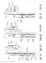 Fig. 07 - Device for entraining a shaft door by means of an elevator car door