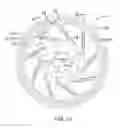 Fig. 07 - Bicycle disc brake rotor