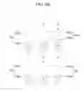 Fig. 06 - Three dimensional image display device using binocular parallax