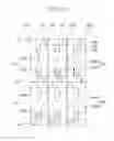 Fig. 07 - Three dimensional image display device using binocular parallax