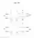 Fig. 08 - Three dimensional image display device using binocular parallax