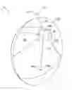 Fig. 01 - Retinal imaging apparatus and method