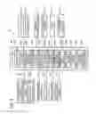 Fig. 03 - Image forming apparatus
