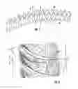 Fig. 02 - Blading
