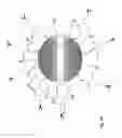 Fig. 03 - Nanoparticles for Targeted Delivery of Active Agents to the Lung