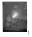 Fig. 07 - Nanoparticles for Targeted Delivery of Active Agents to the Lung