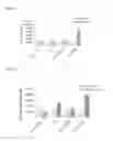Fig. 09 - Nanoparticles for Targeted Delivery of Active Agents to the Lung