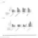 Fig. 11 - Nanoparticles for Targeted Delivery of Active Agents to the Lung